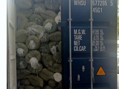 FCL  ocean freight from SHENZHEN,CHINA To FELIXSTOWE,EUROPE