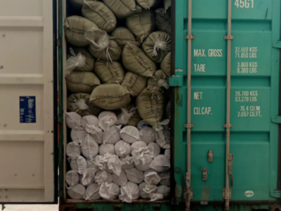 FCL  ocean freight from SHENZHEN,CHINA To CHARLESTON,USA